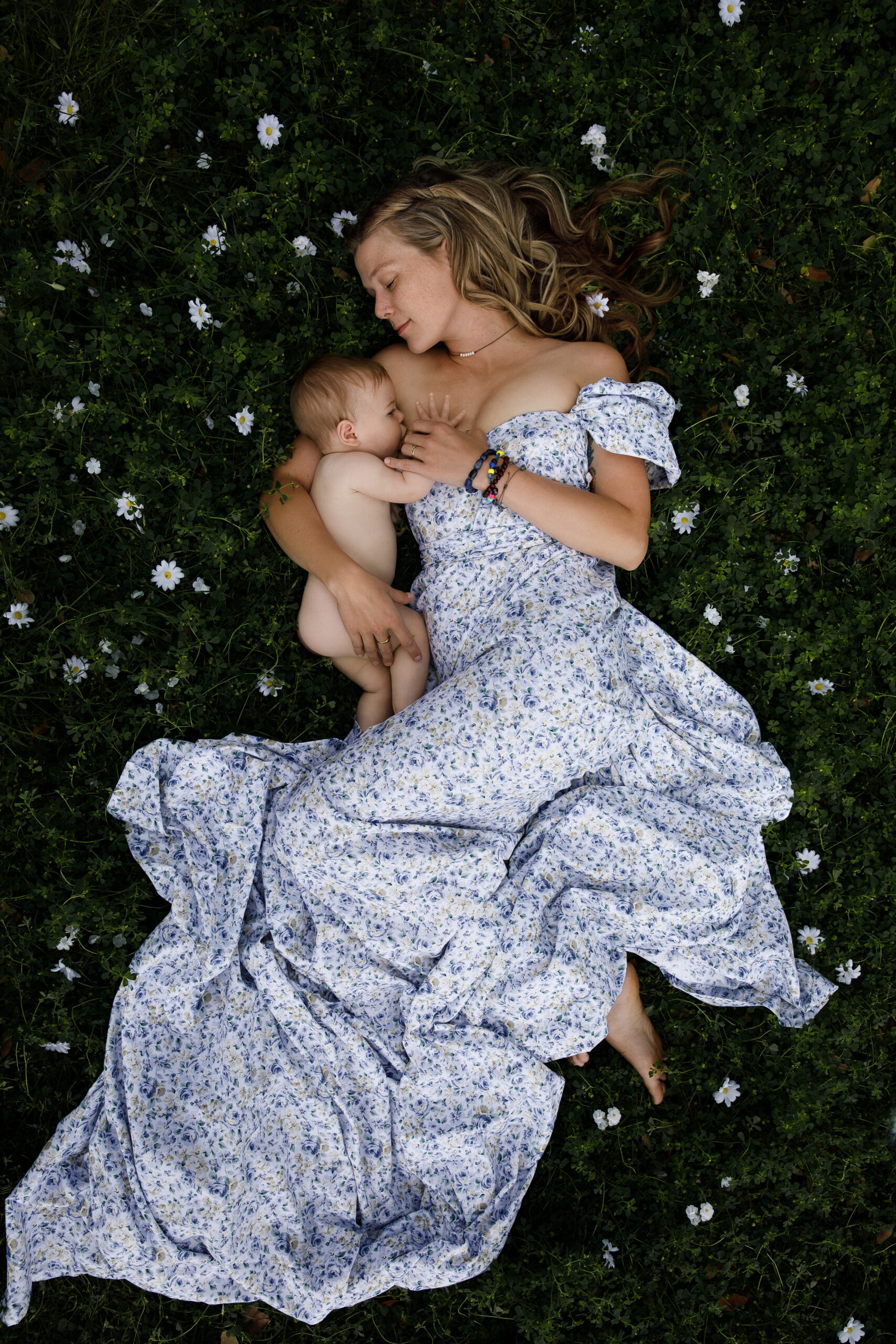 motherhood portrait breastfeeding in a field of flowers